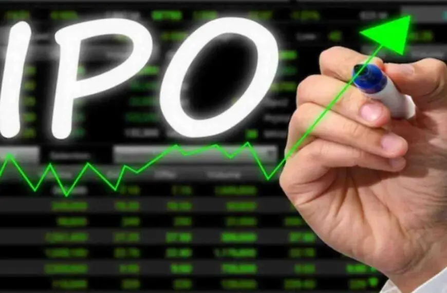 कंपनी का आईपीओ कारण