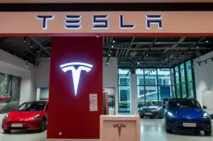 Tesla India Launch Impact